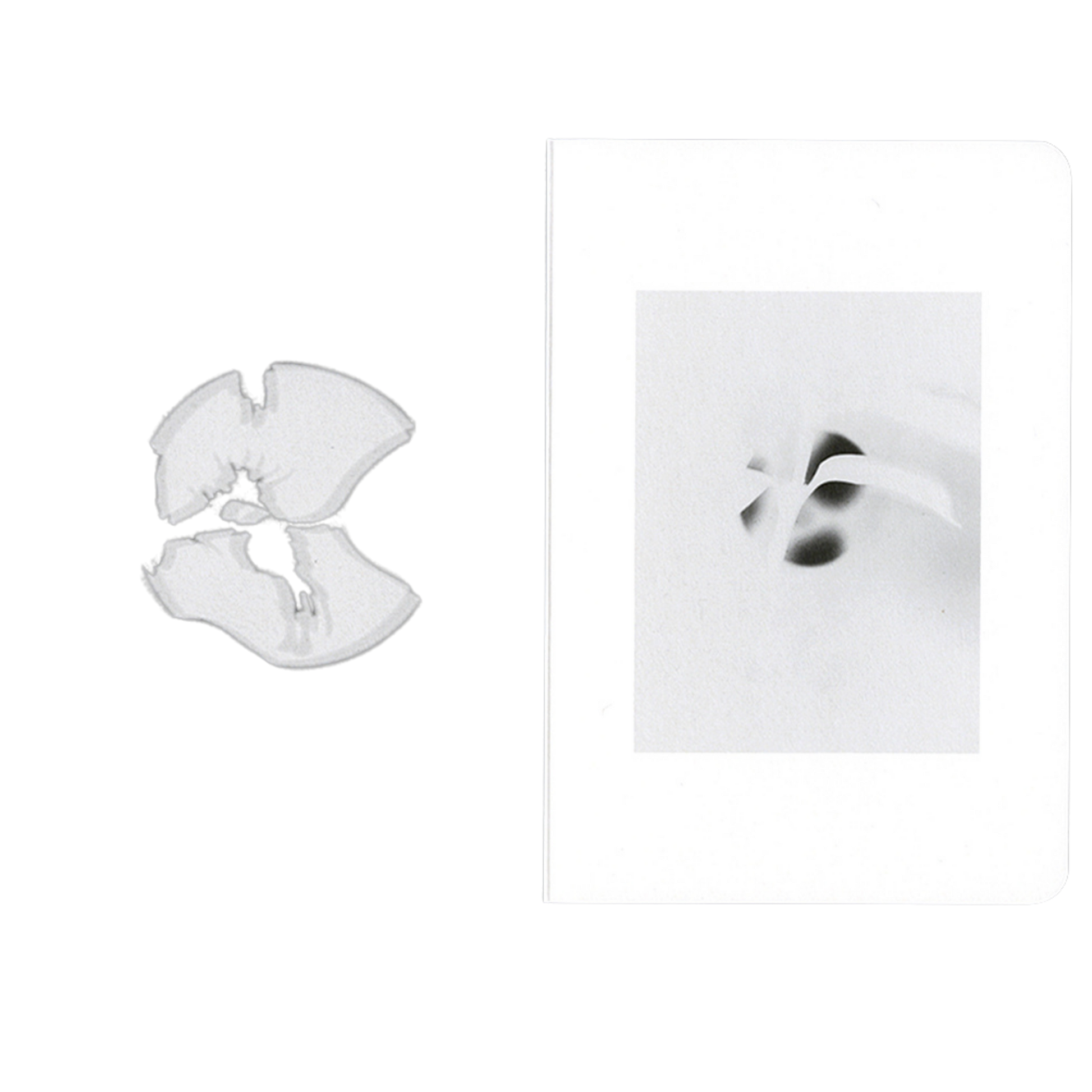 Board Book 3: Geordie Wood - Actual Source + NEW TENDENCY