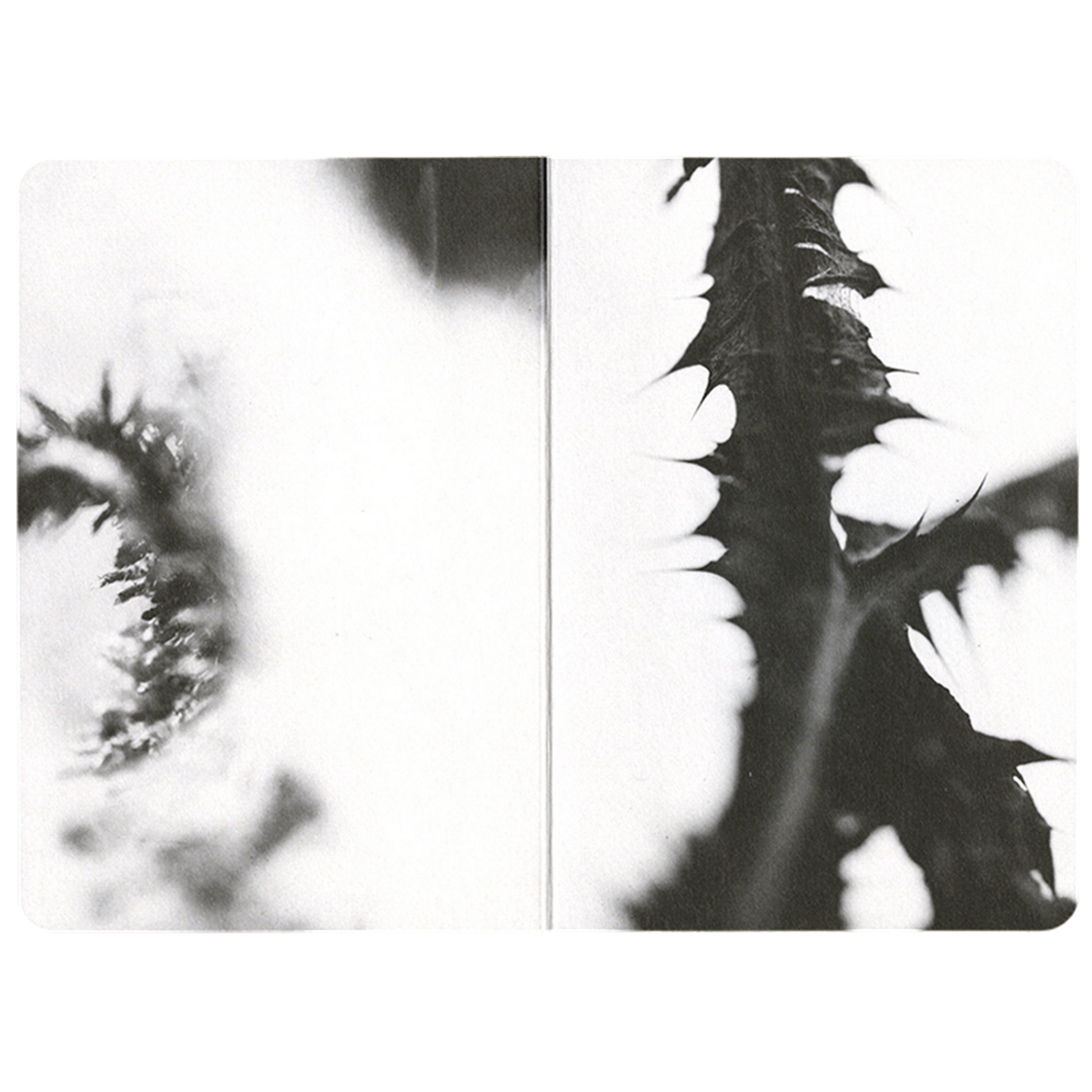 Board Book 3: Geordie Wood - Actual Source + NEW TENDENCY