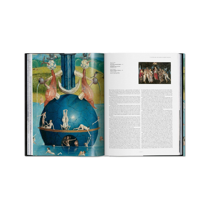 "Devil in the Details, The complete works of Hieronymus Bosch" (XL) - Stefan Fischer