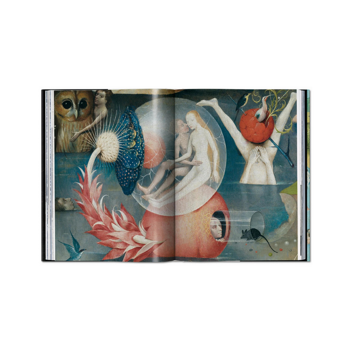 "Devil in the Details, The complete works of Hieronymus Bosch" (XL) - Stefan Fischer