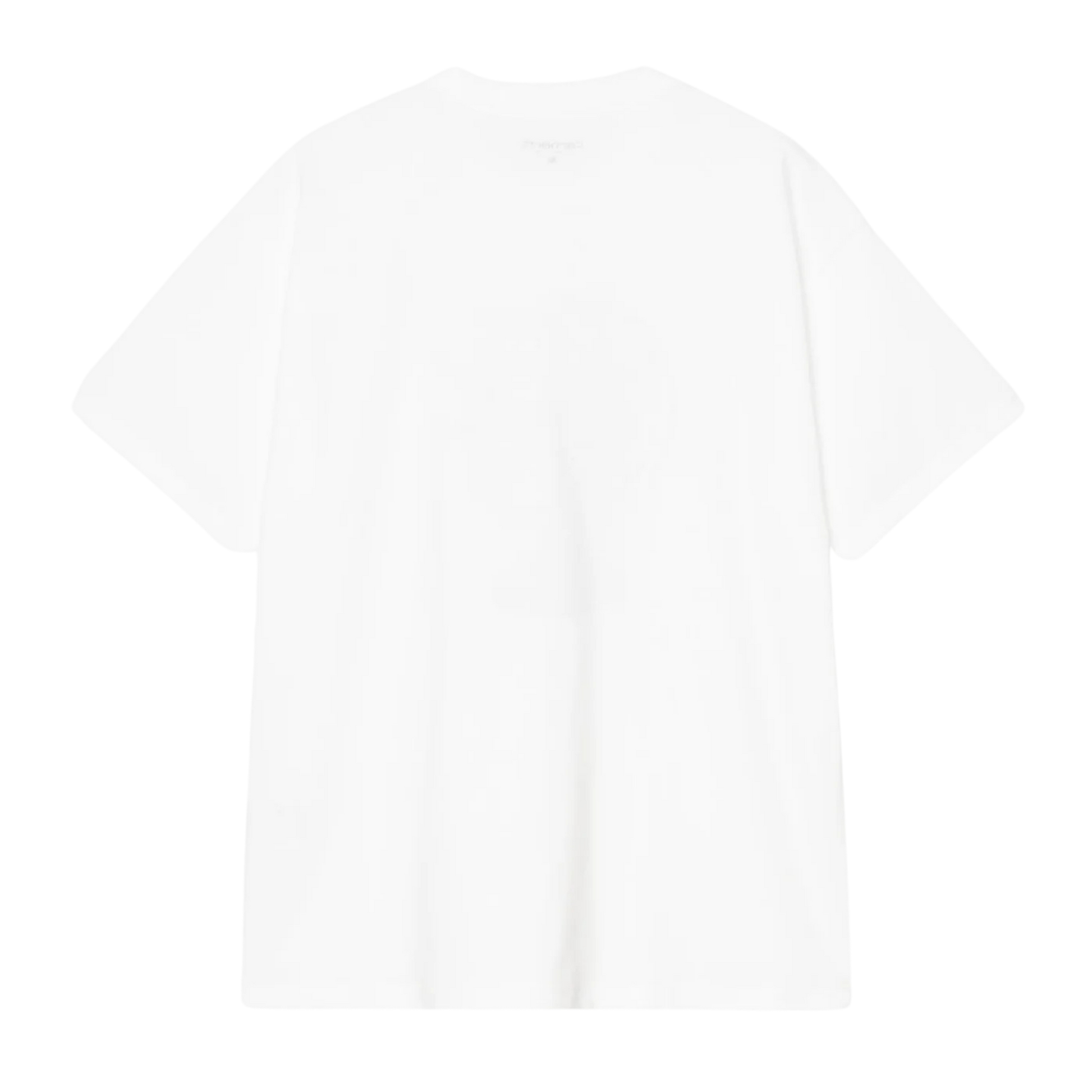 Men's Carhartt WIP Fan T-Shirt - Shady Purple