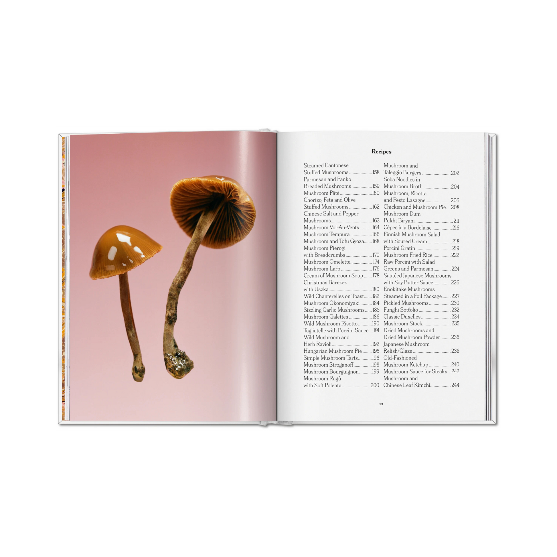 The Gourmand's Mushroom. A Collection of Stories and Recipes - David Lane & Marina Tweed