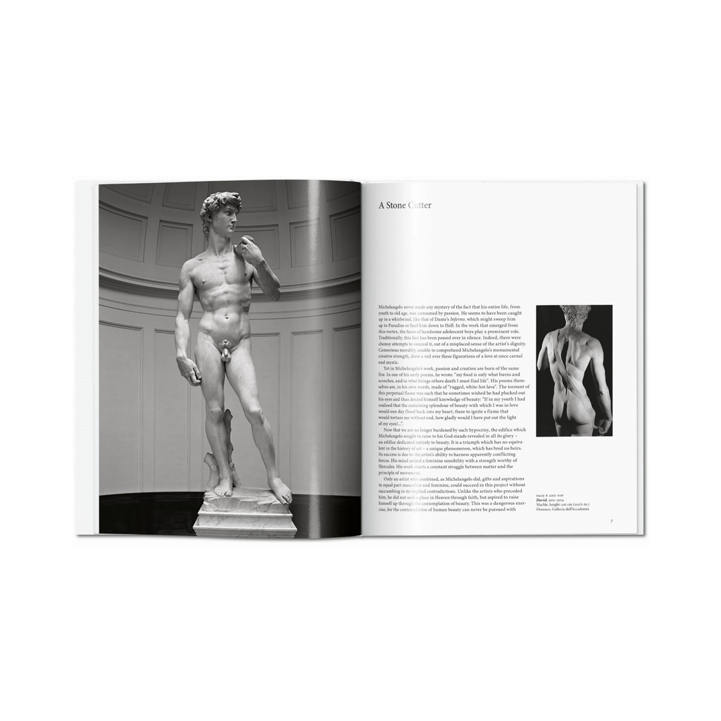 Michelangelo - Gilles Néret