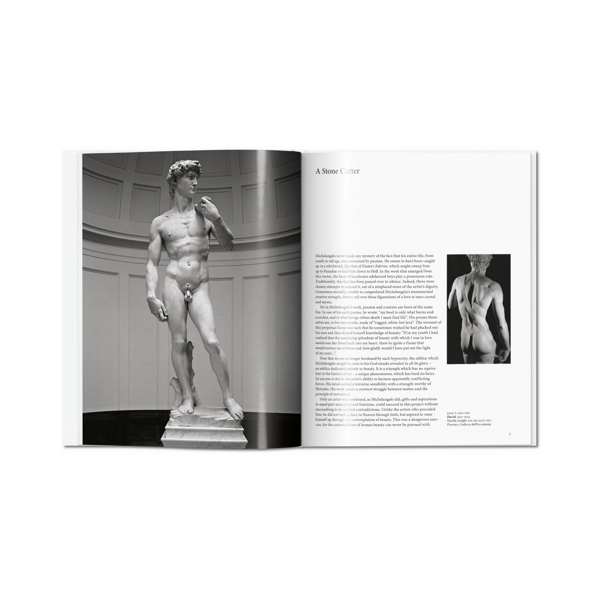 Michelangelo - Gilles Néret