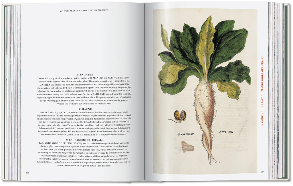 The New Herbal - Leonhart Fuchs