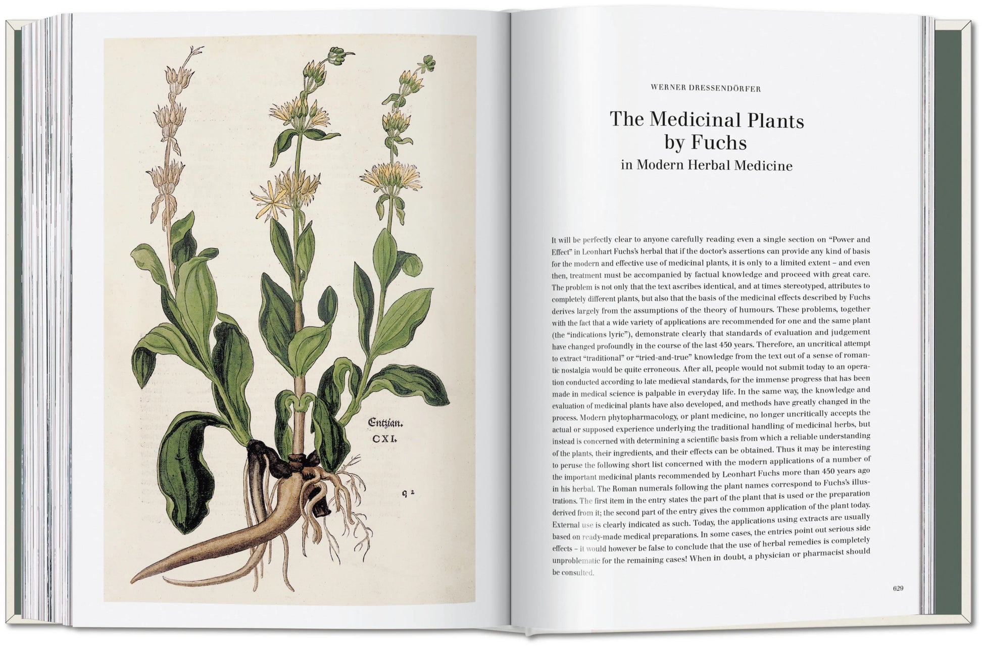 The New Herbal - Leonhart Fuchs