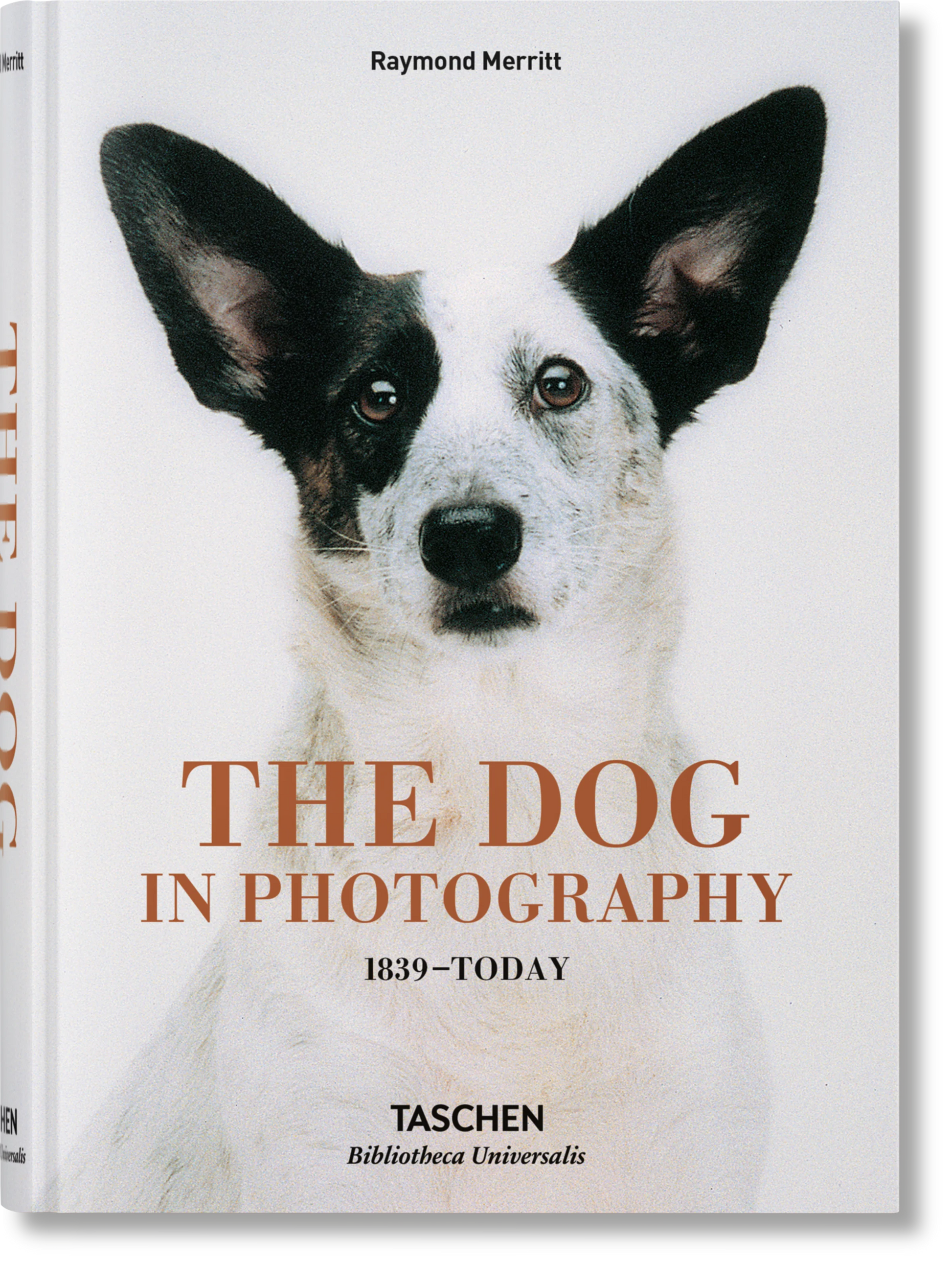 The Dog in Photography 1839-Today - Raymond Merritt