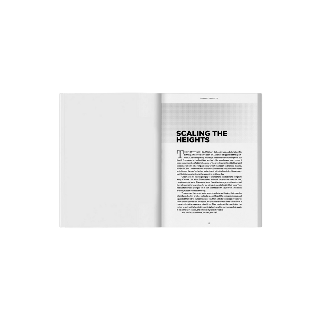 "Grafitti Gangster" -  Henry 161 Medina