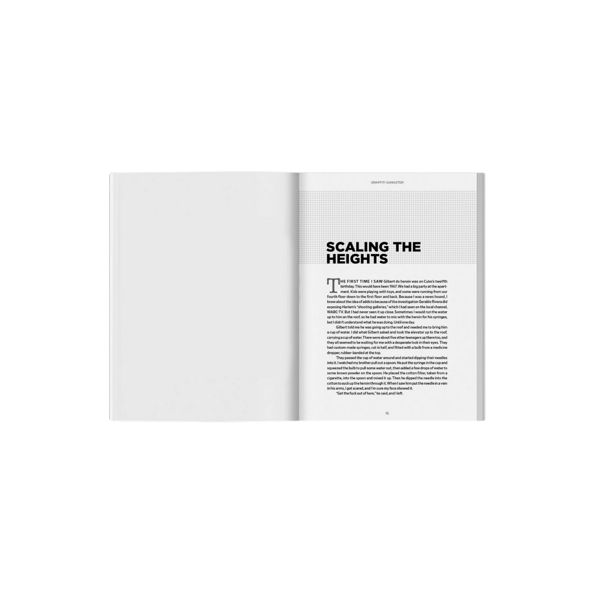 "Grafitti Gangster" -  Henry 161 Medina