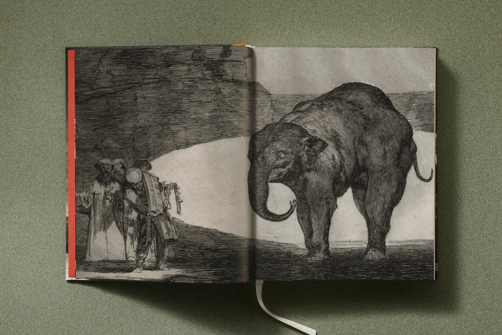 Goya. The Complete Prints - Anna Reuter & José Manuel Matilla