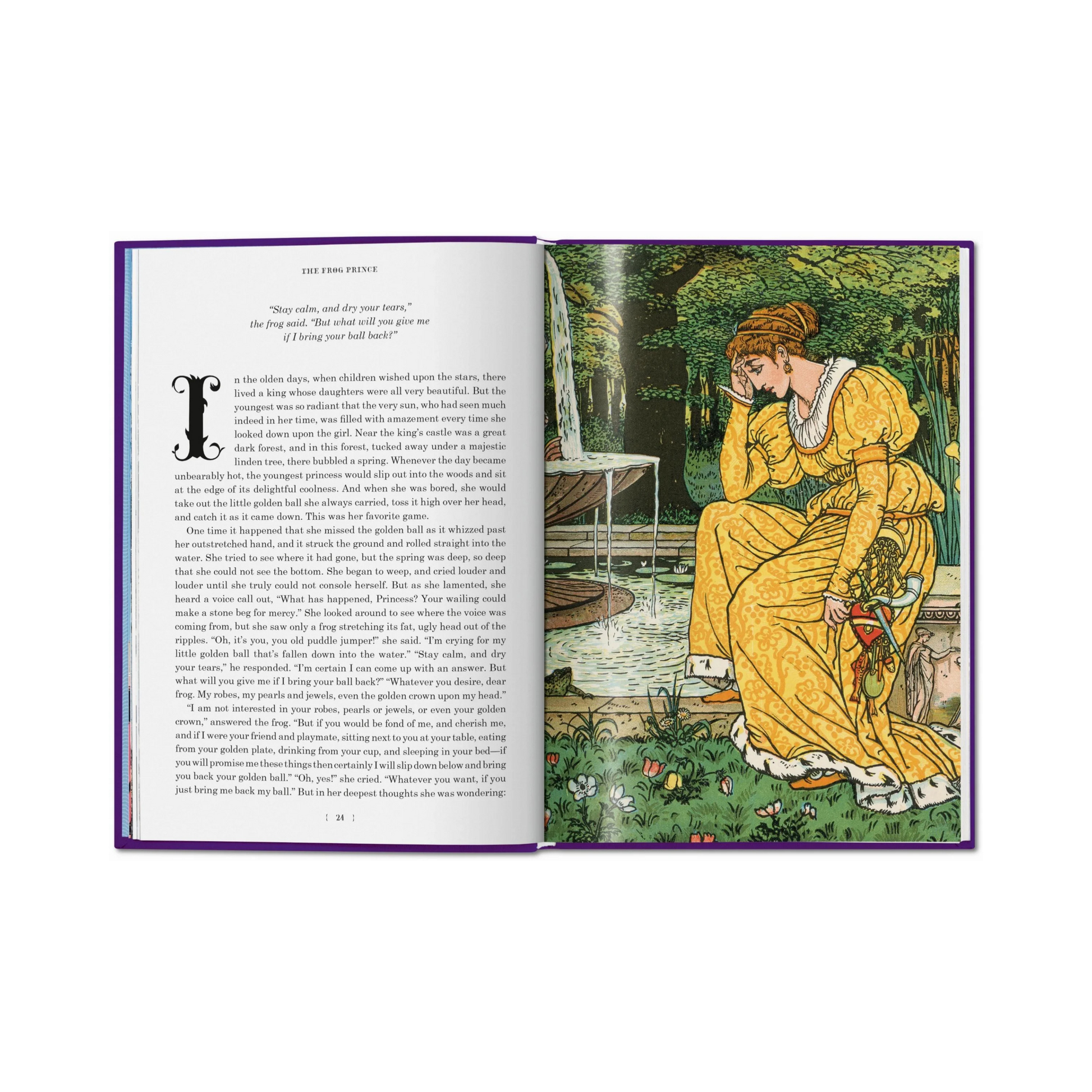 The Fairy Tales of the Brothers Grimm - Noel Daniel
