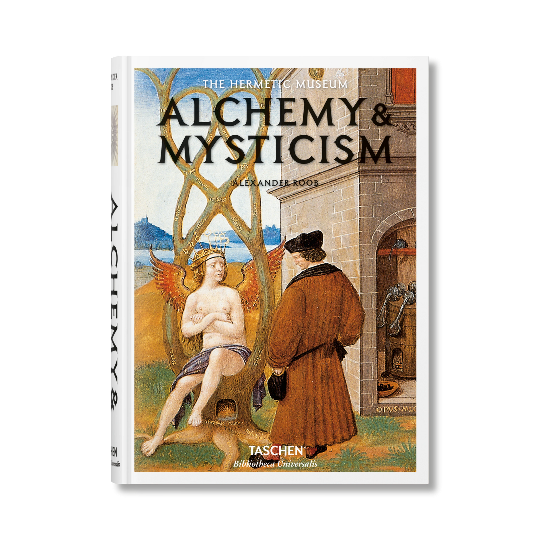 Alchemy & Mysticism - Alexander Roob