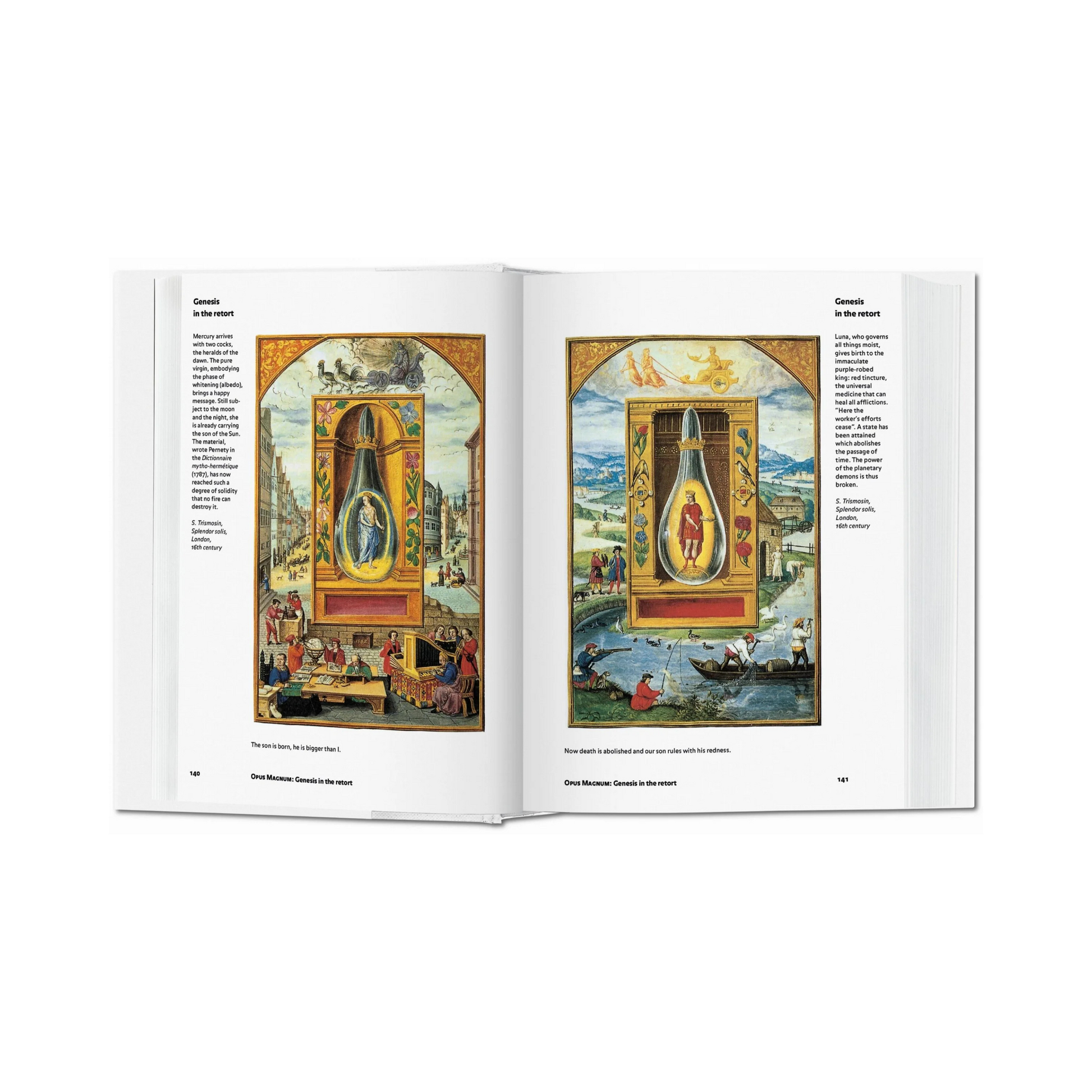 Alchemy & Mysticism - Alexander Roob