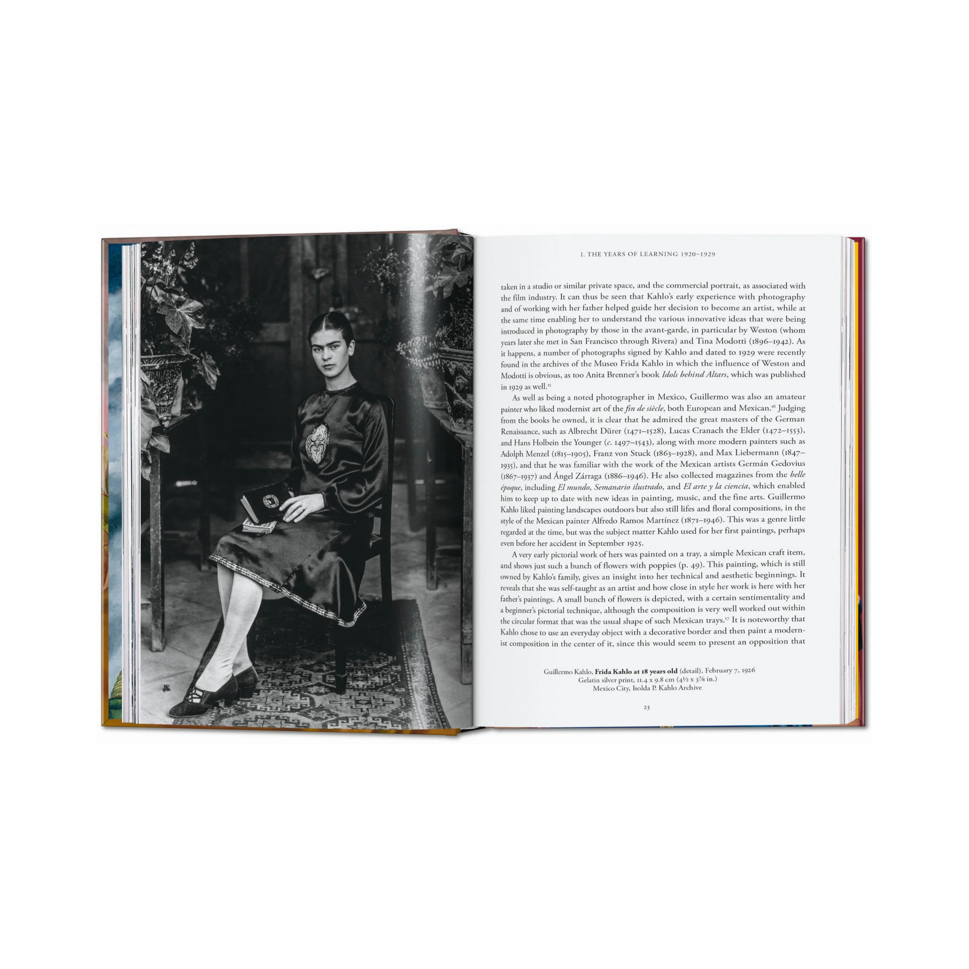 Frida Kahlo - Luis-Martín Lozano