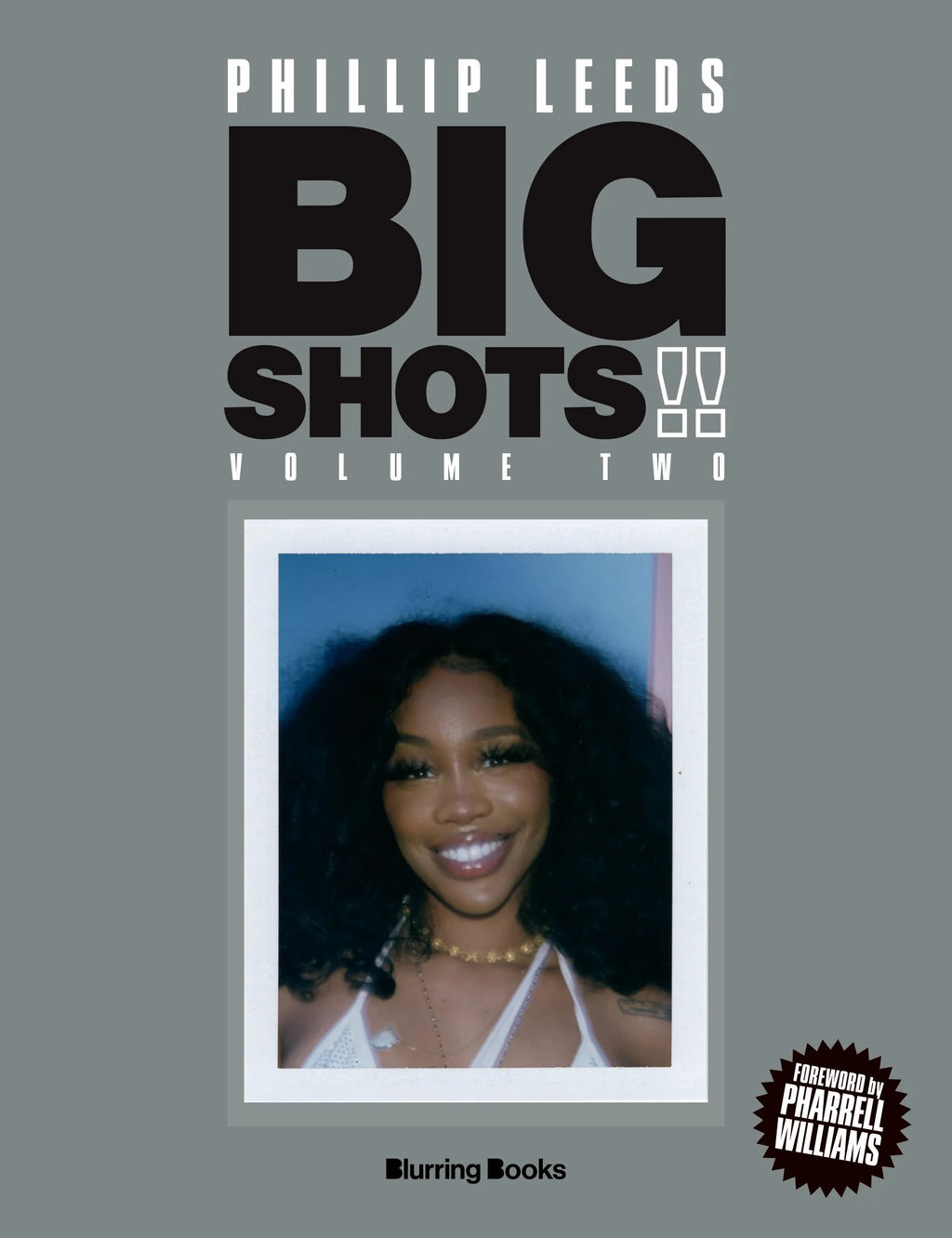 BIG SHOTS!! Volume Two - Blurring Books