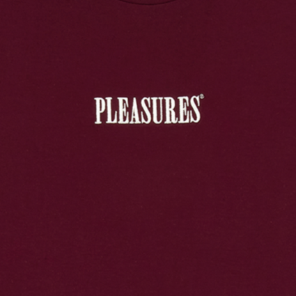 Pleasures Core Embroidered Long Sleeve Tee - Burgundy