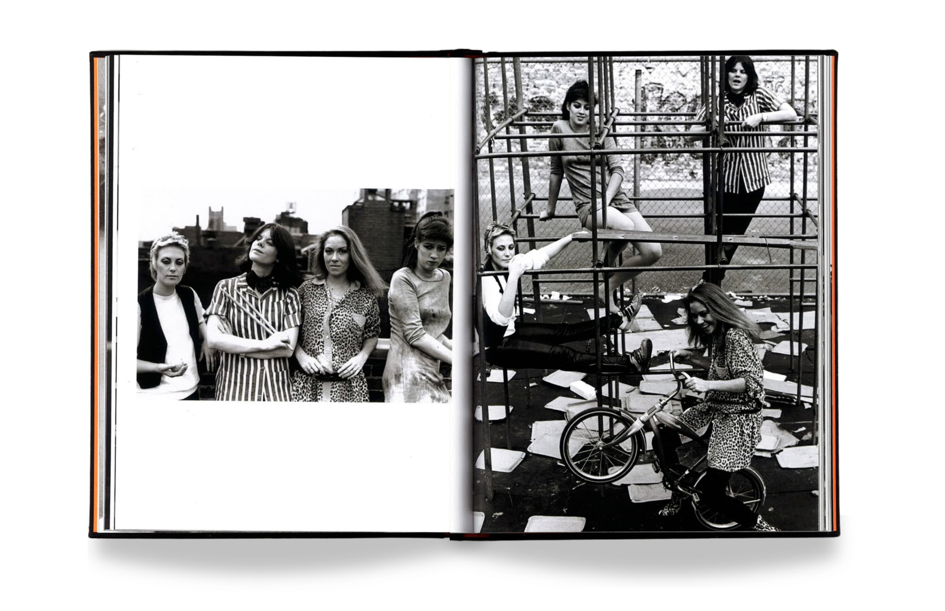 Crash Bang: Pictures from a Punk *Signed Copy*