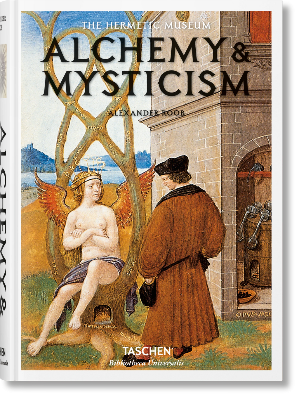 Alchemy & Mysticism - Alexander Roob
