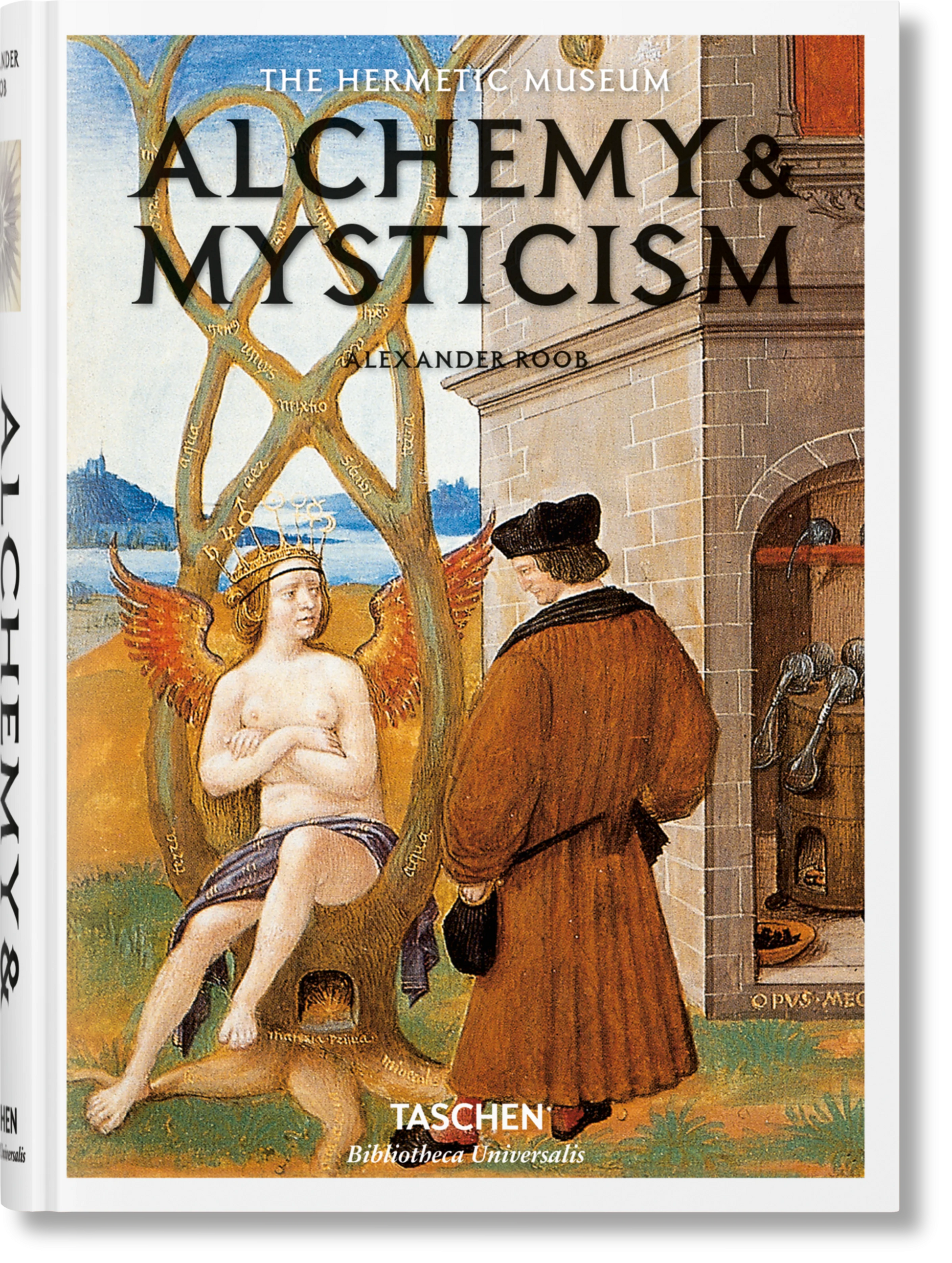 Alchemy & Mysticism - Alexander Roob
